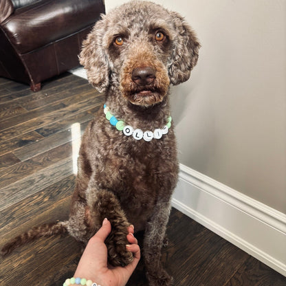 BFF Dog Collar + Free Matching Bracelet - ShopLorca