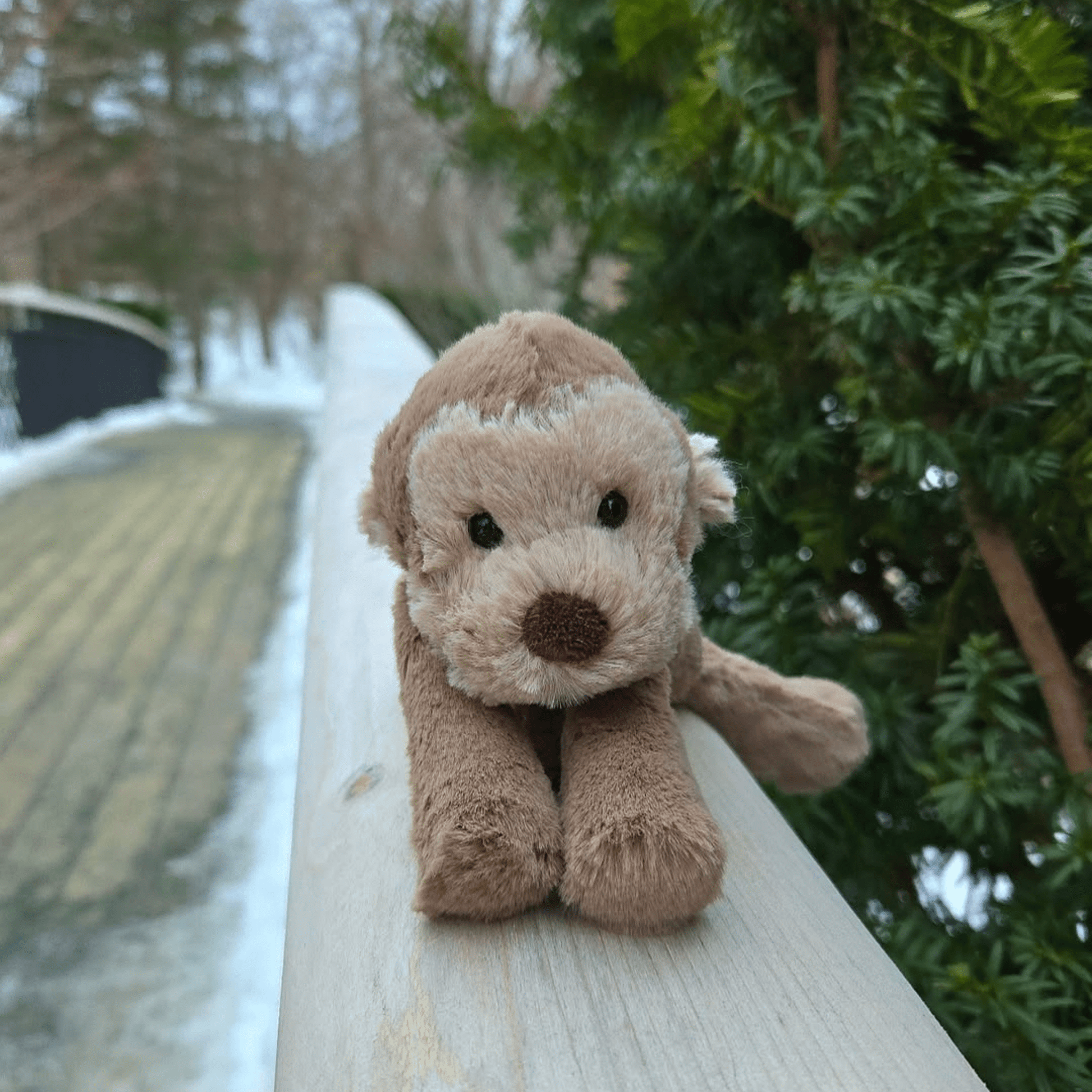 George Smudge Monkey - ShopLorca